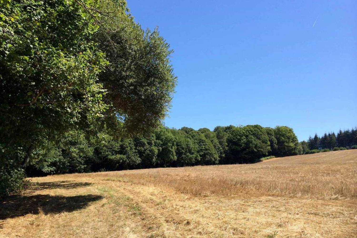 tour d'éléphants, olifantenrondje 4.5 km