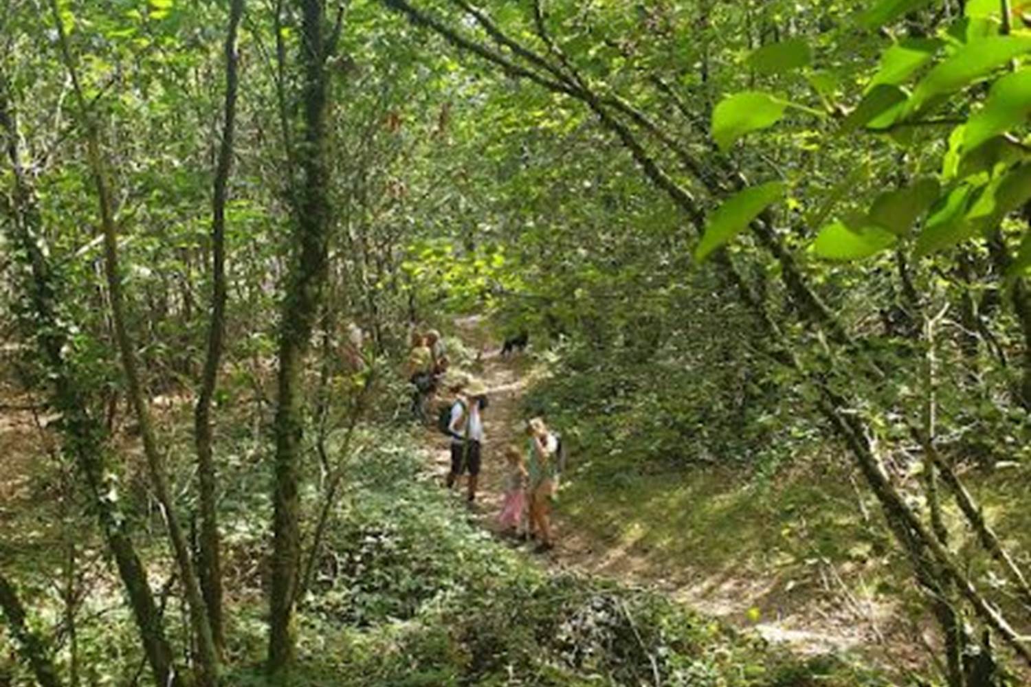 près de la ruine de chateau de courbéfy, à 5km ,vlakbij de ruine van het kasteel van Courbéfy,