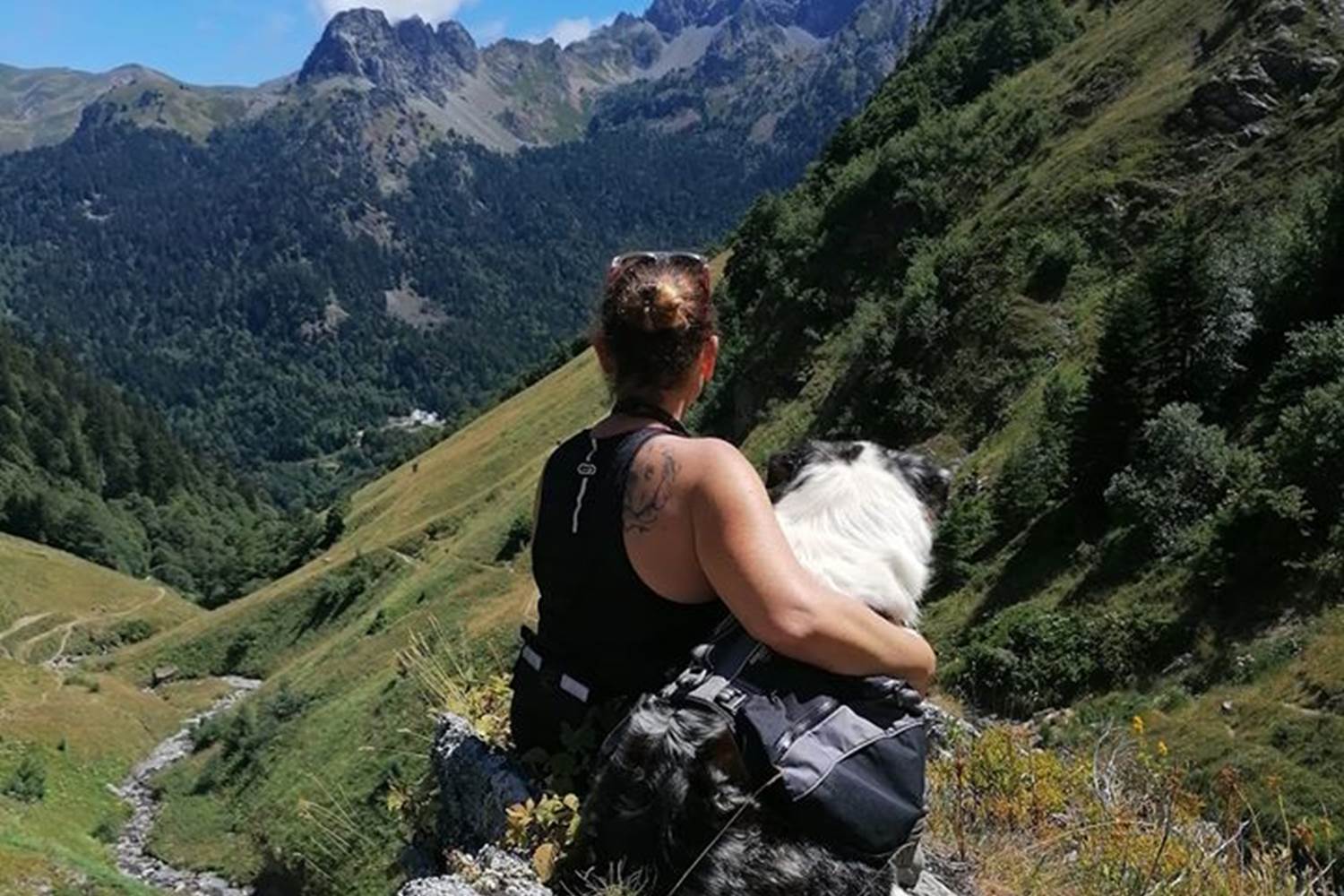 vacaciones-con-un-perro