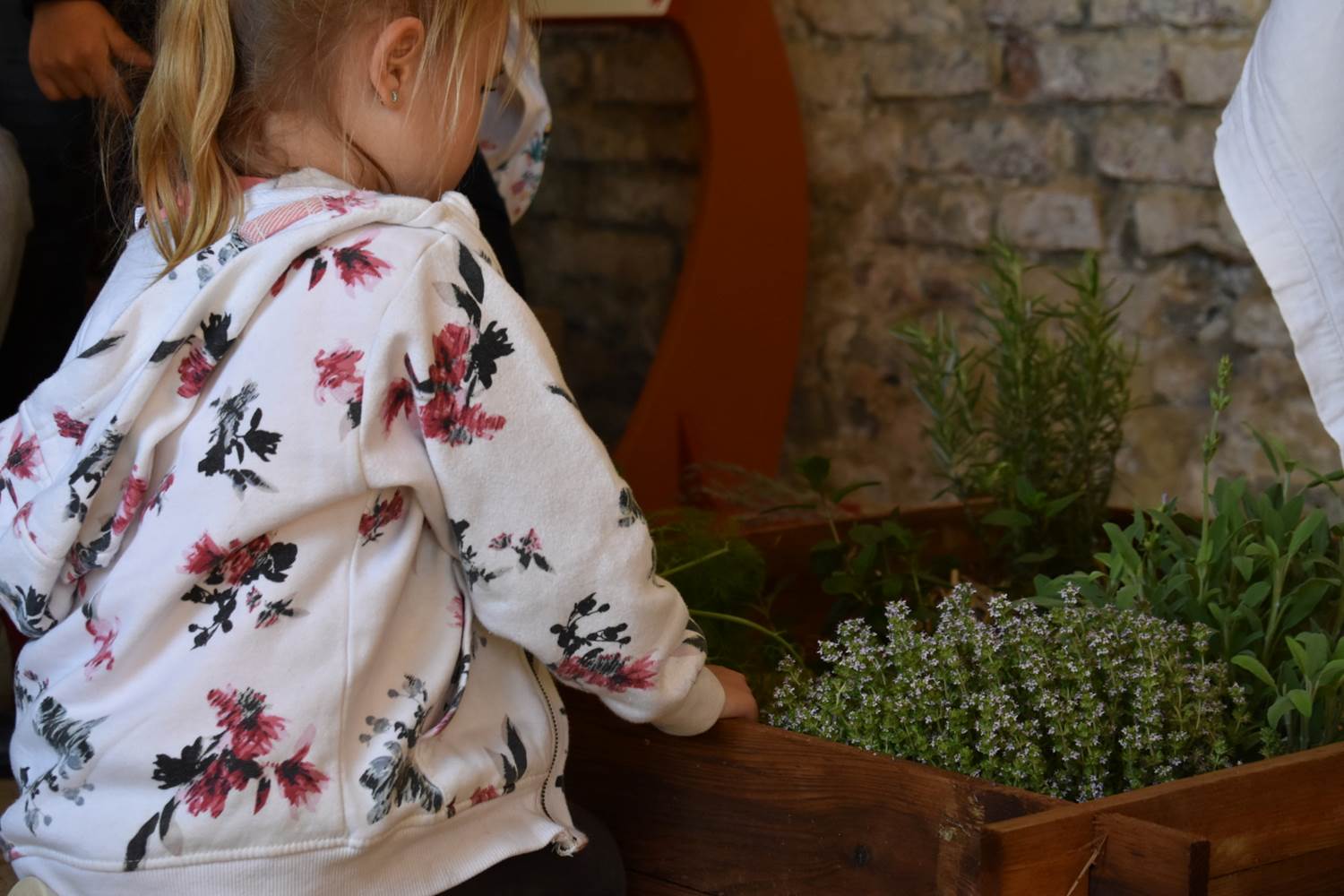 abbaye-de-belleperche-animation-jeunesse-©EJ