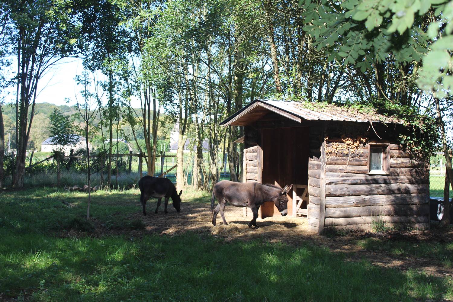 mini-ferme