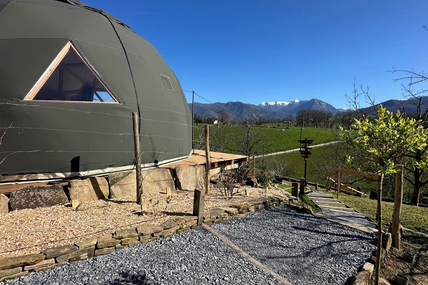 Petits fruits atypiques au pied du dôme