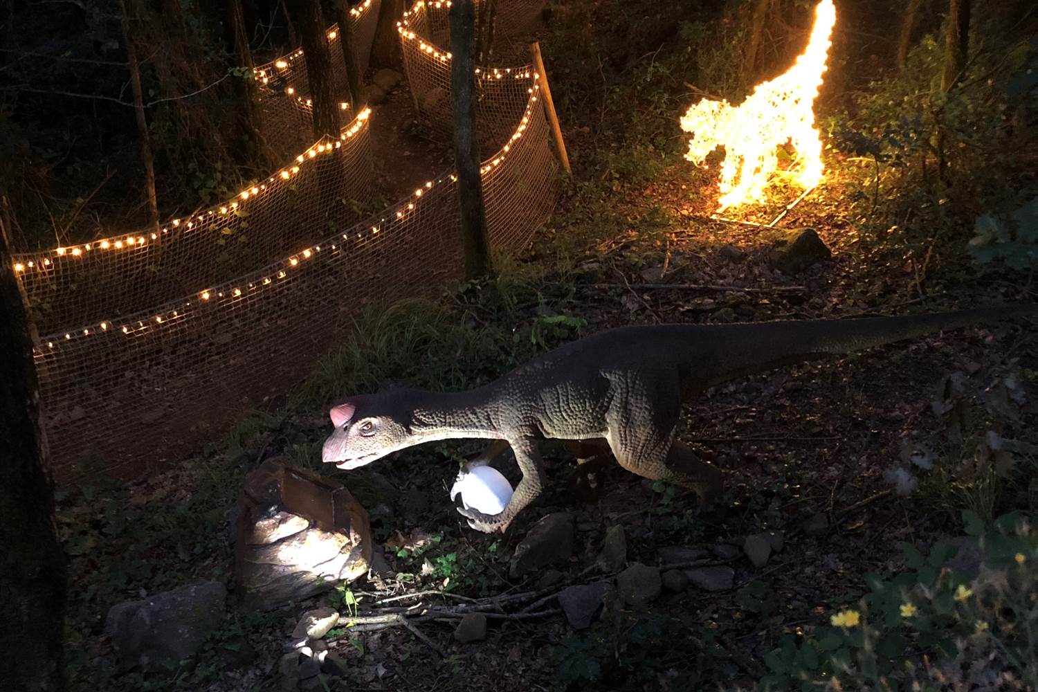 Parc DINOPEDIA illuminé en soirée