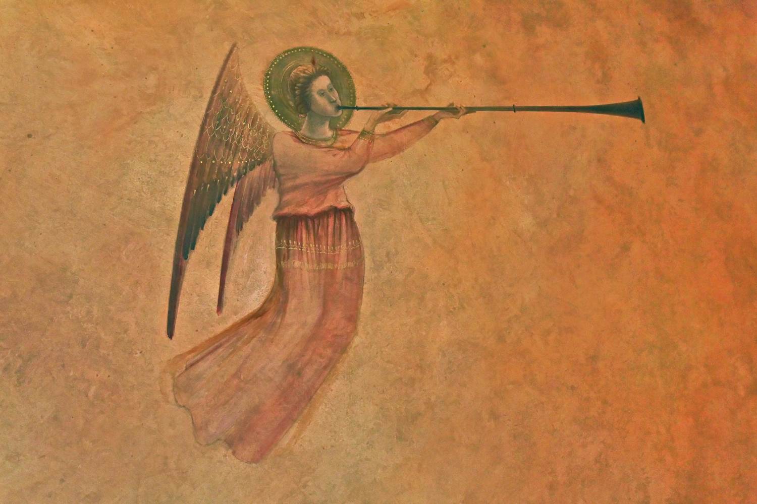 Un ange musicien au paradis