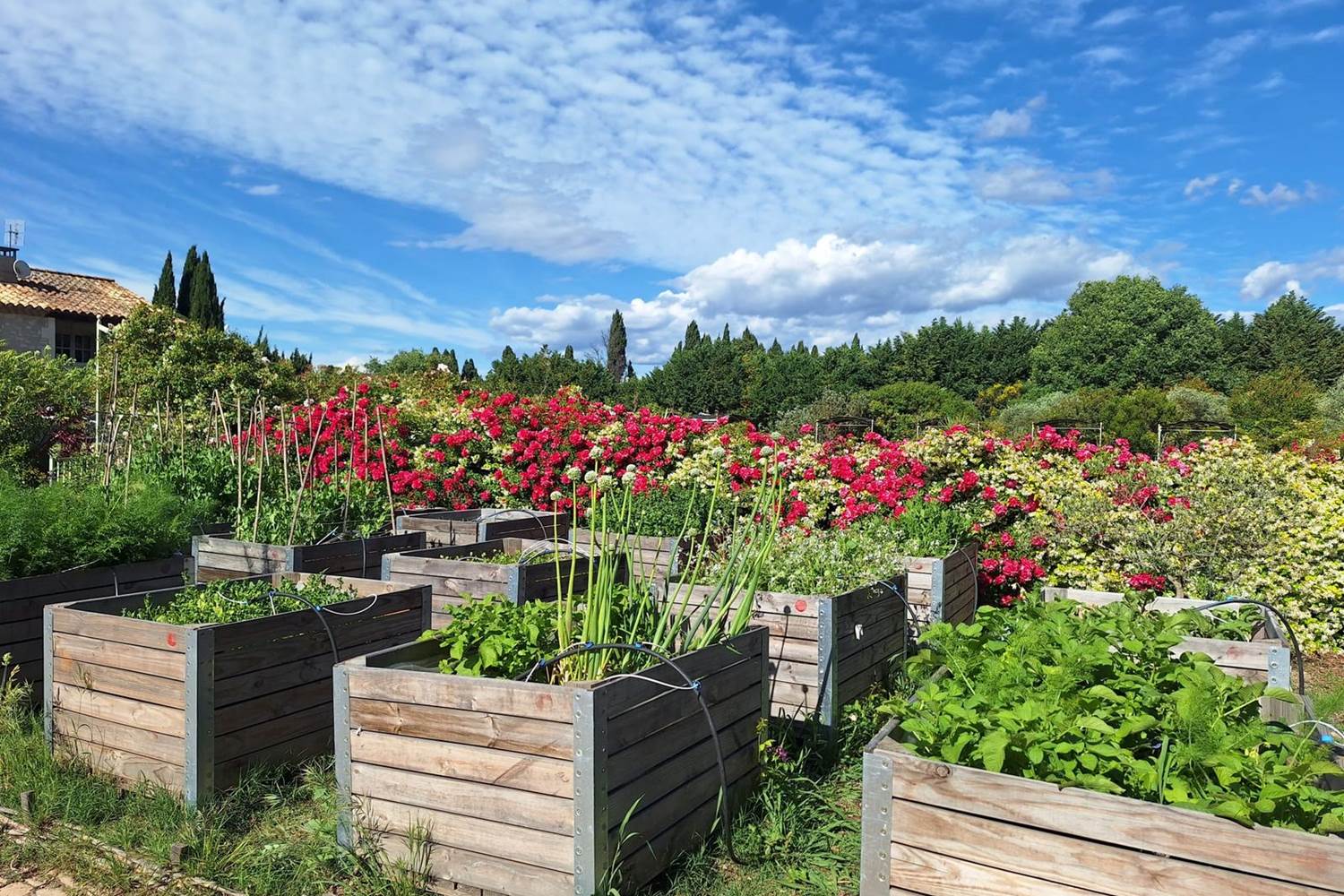 Verger et potager bio