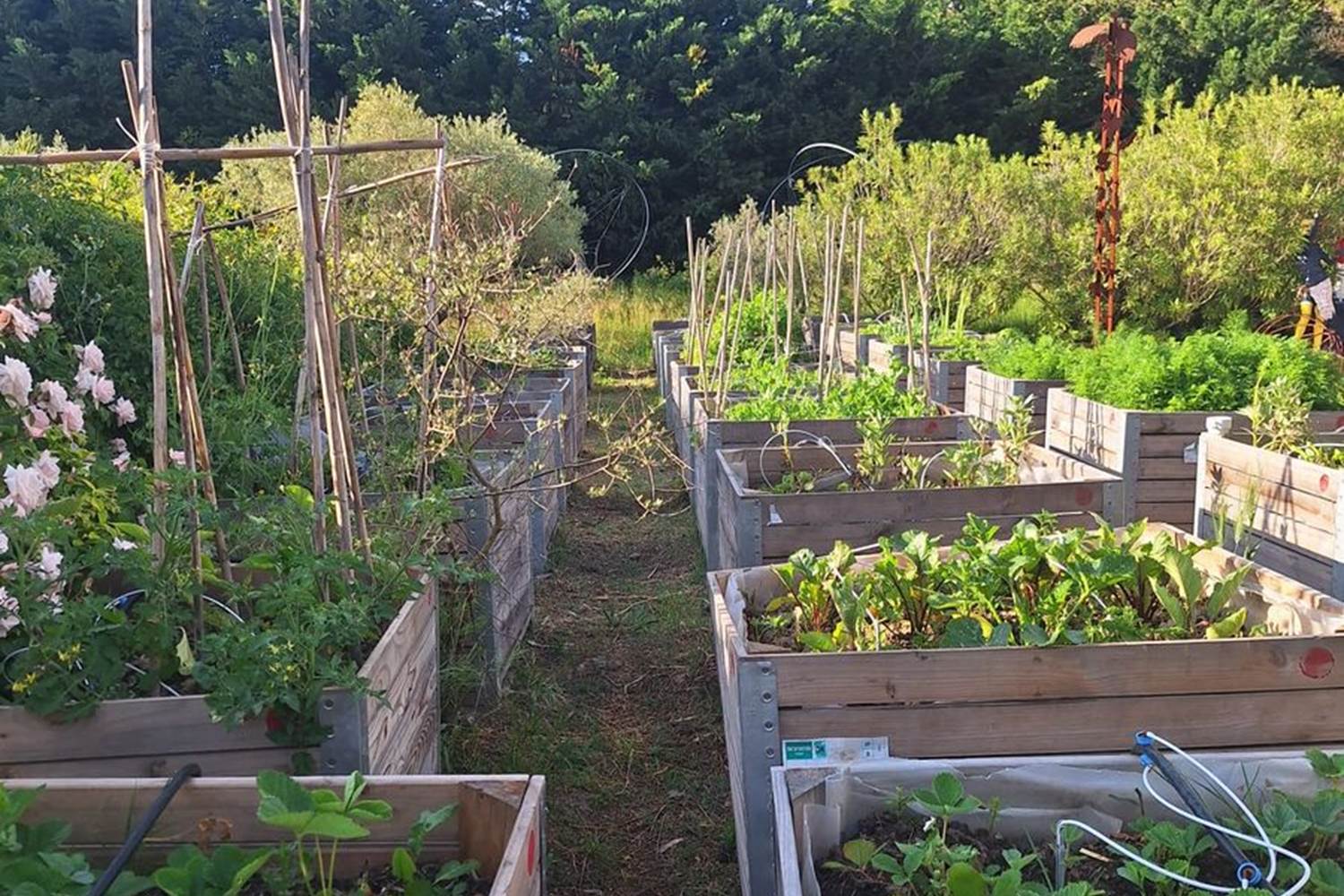 Verger et potager bio