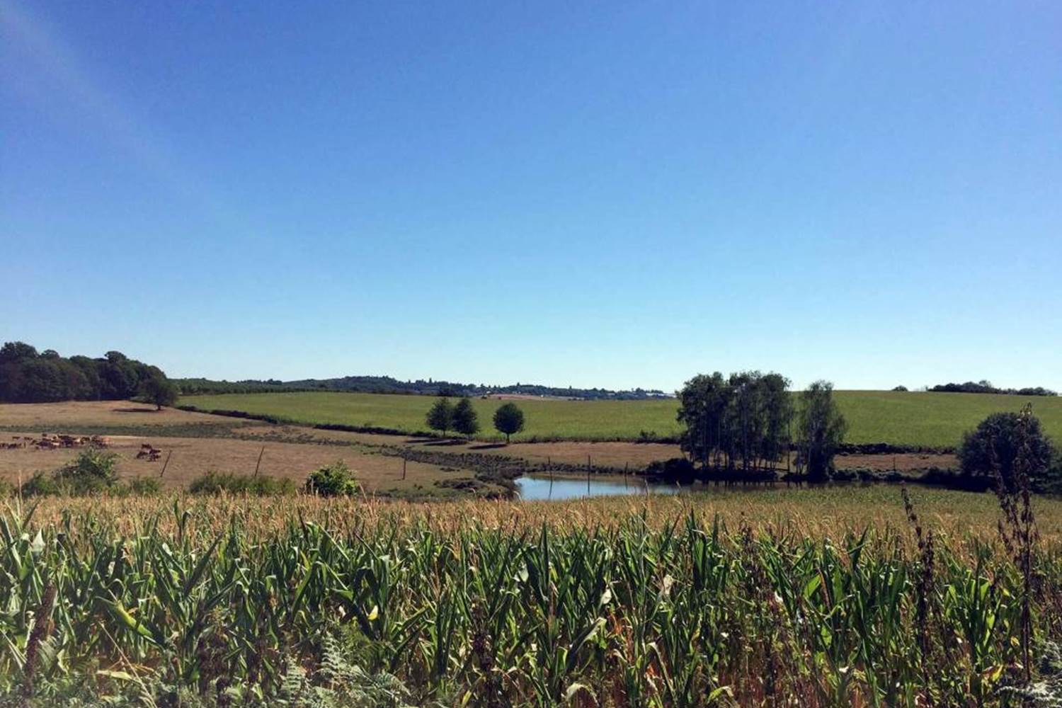 tour des éléphantes 4.5 km, olifantenrondje