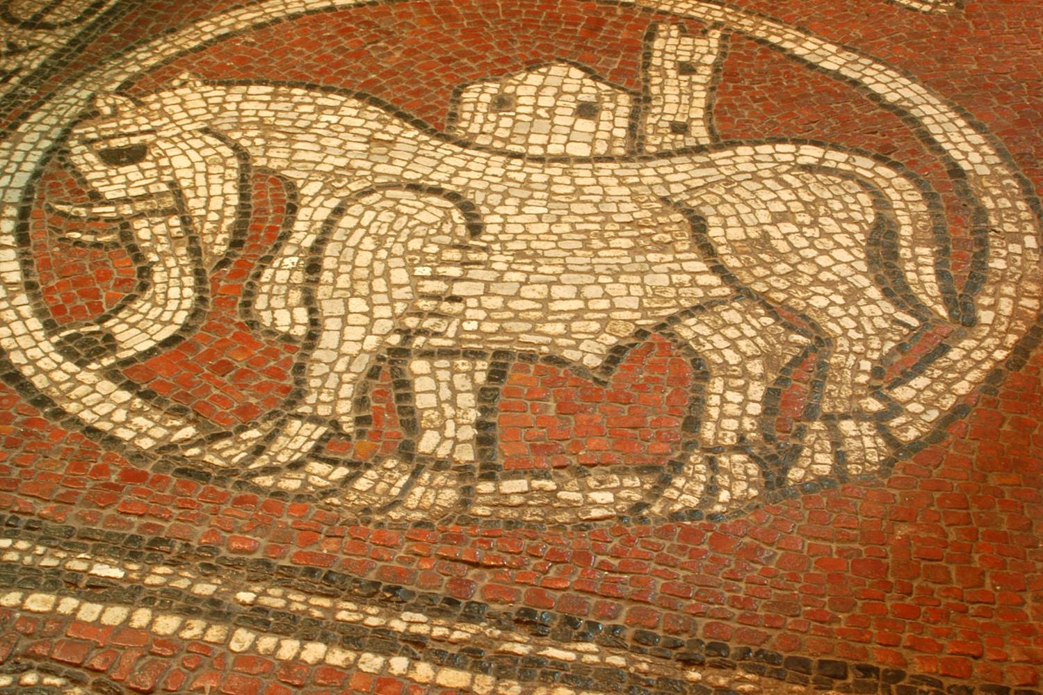 La Mosaïque de Ganagobie