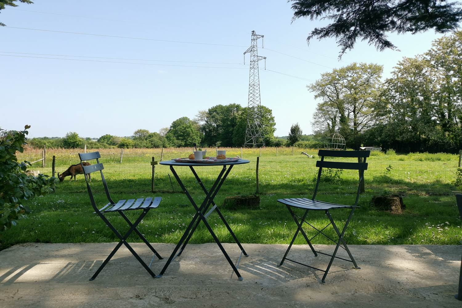 vue depuis la terrasse, chambre d'hôtes gingko, moulin de La Retardière, Orvault, Nantes, Pays de La loire