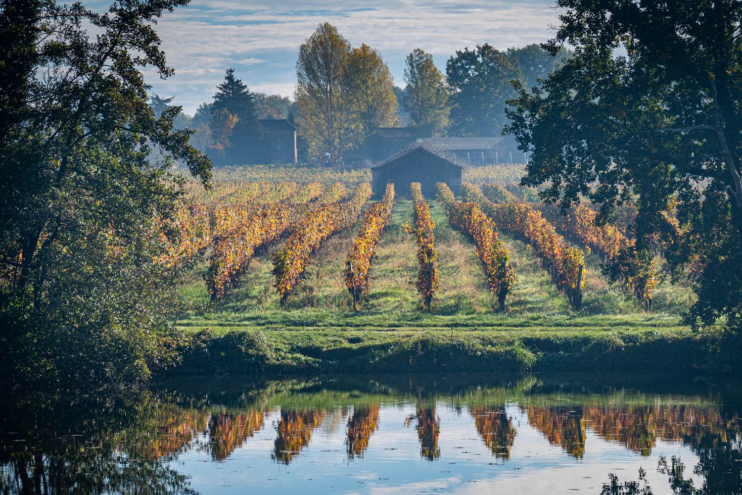 Vignoble en automne Luzech © Steve Jones-3