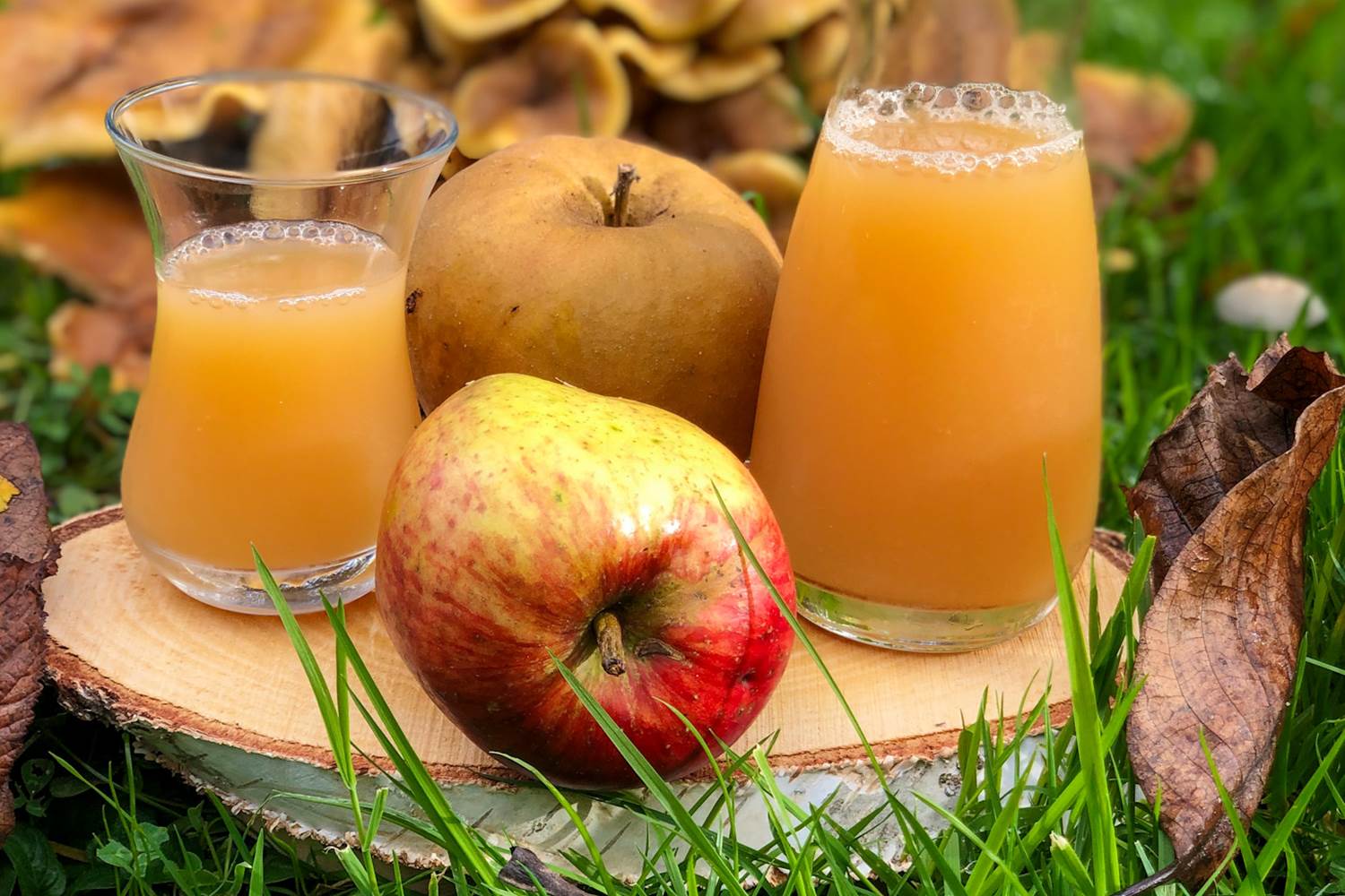 délicieux jus de pommes  réalisé à partir des fruits du verger
