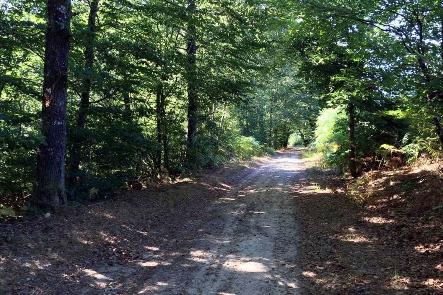 Sentier des Demoiselles