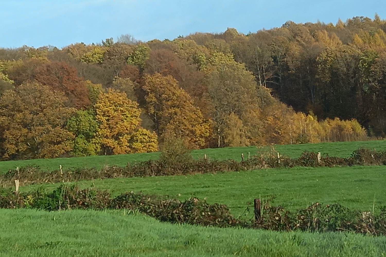 Les bois en remontant de Spa