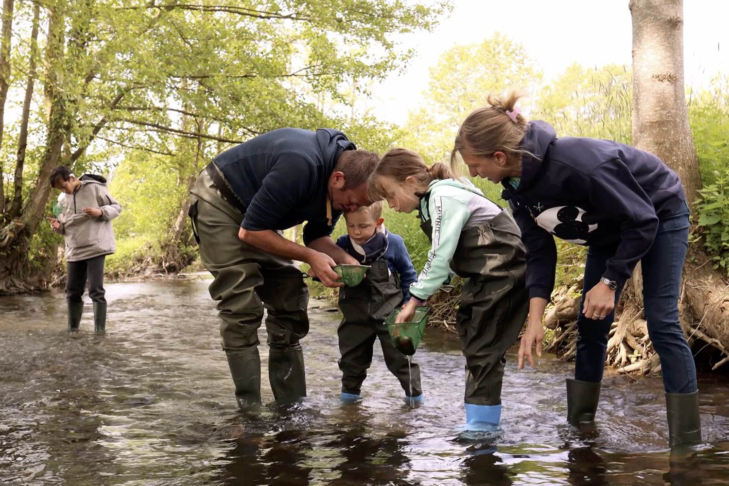 animation-nature-ardenne