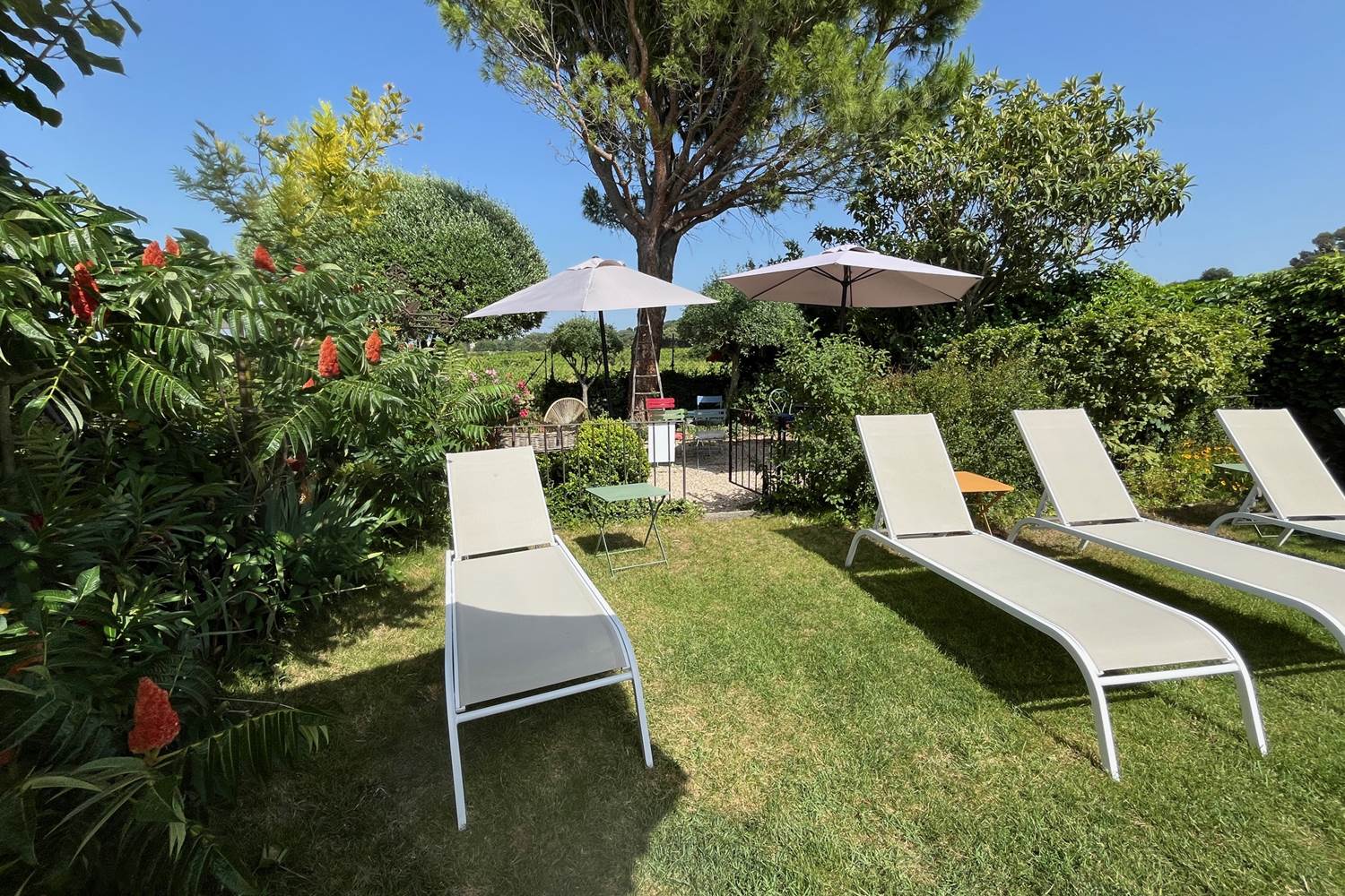 Le Mas Mellou / Chambre Mont Ventoux / La Piscine