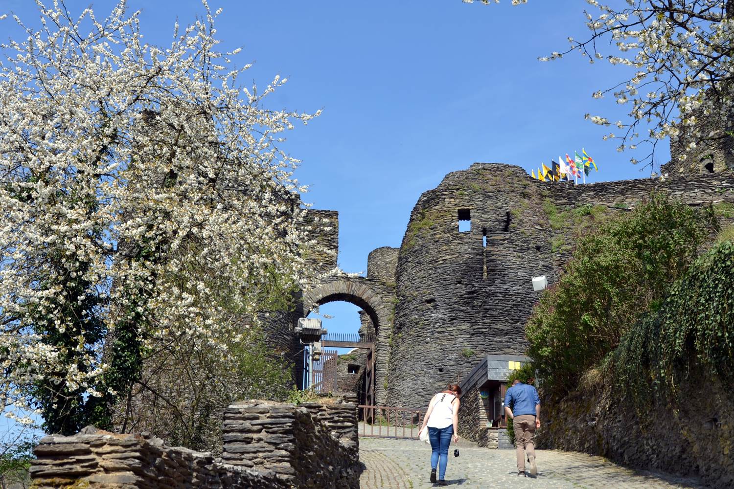 Château de La Roche-en-Ardenne