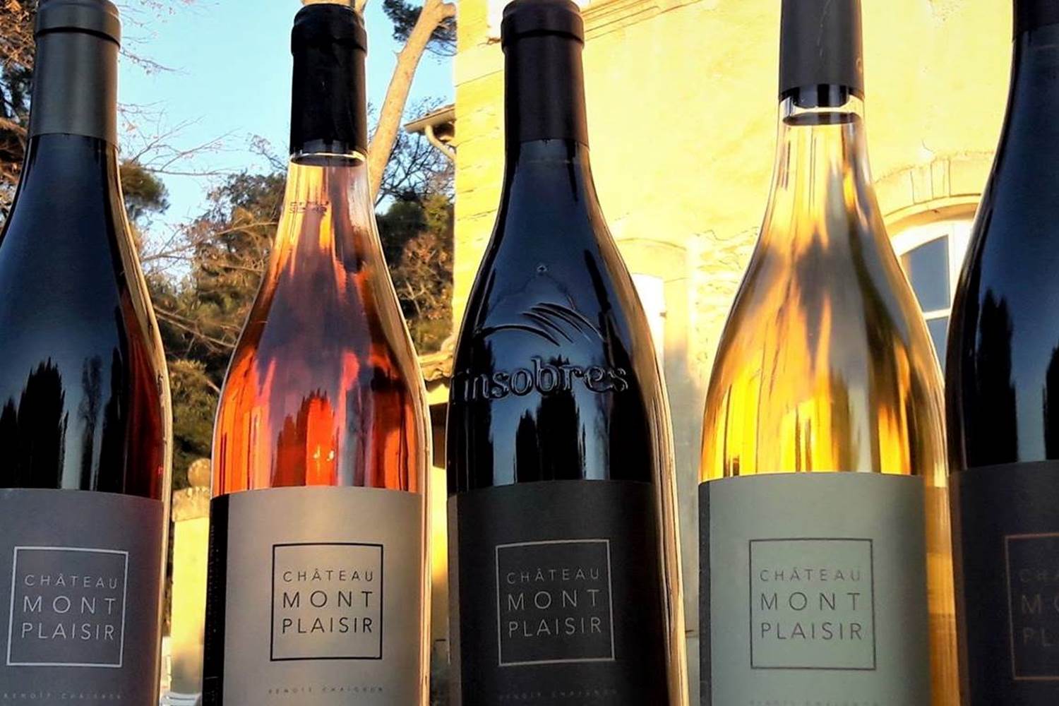 Chateau MontPlaisir en blanc, rose et rouge