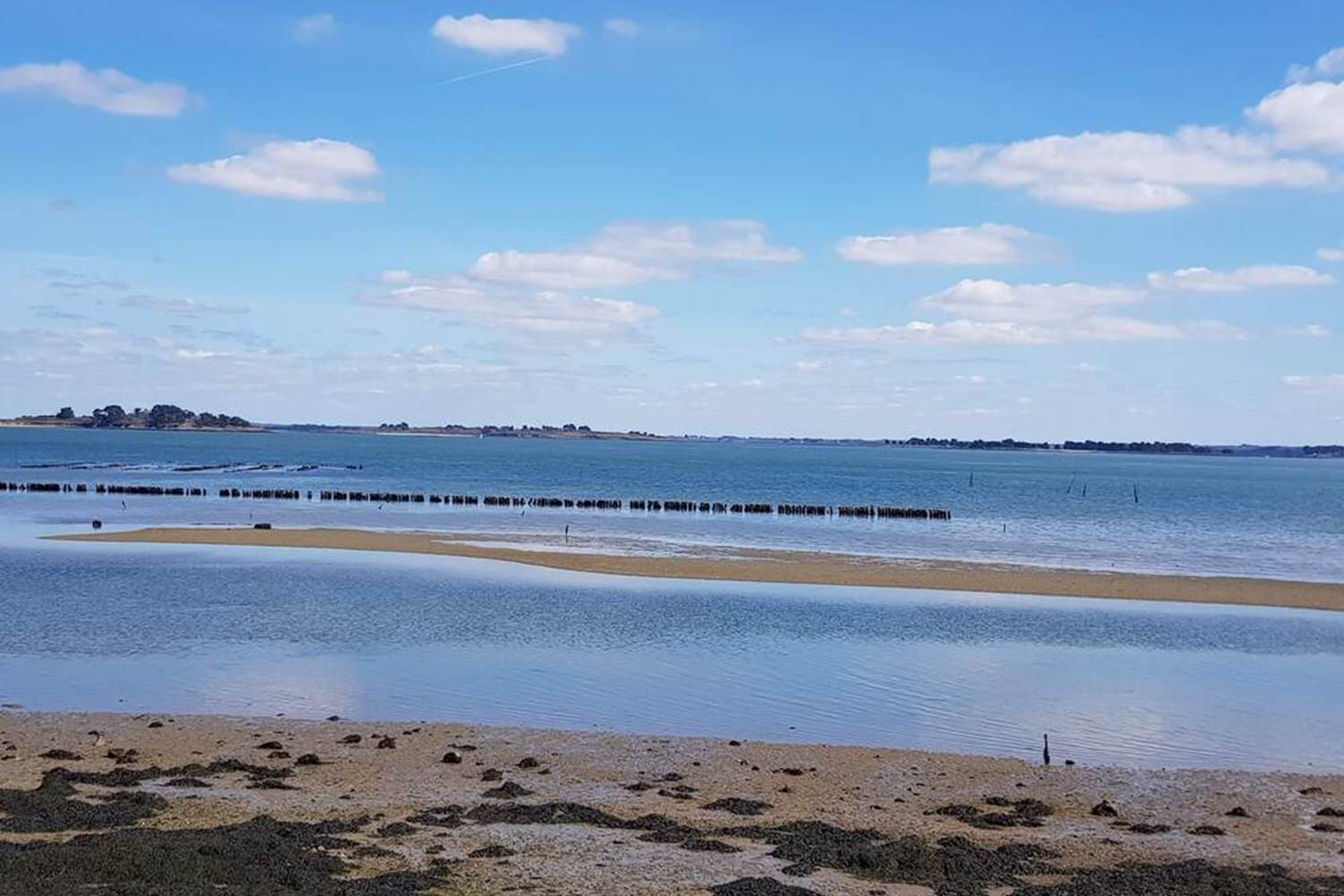 ILEAUXMOINES-GOLFEDUMORBIHAN-BRETAGNESUD