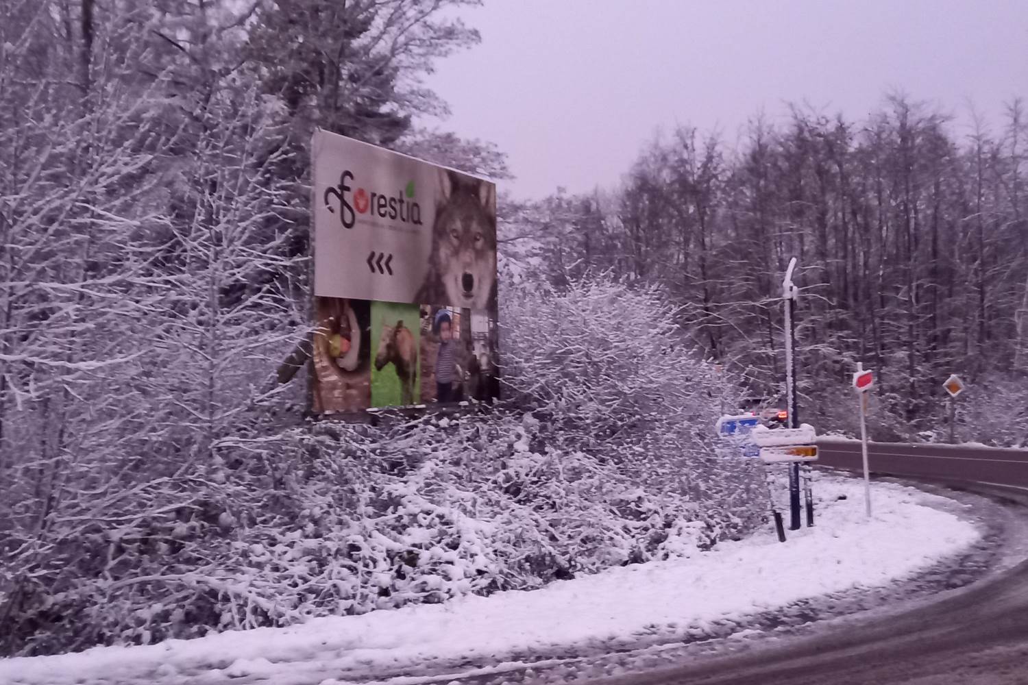 Nous ne sommes pas loin de Forestia !