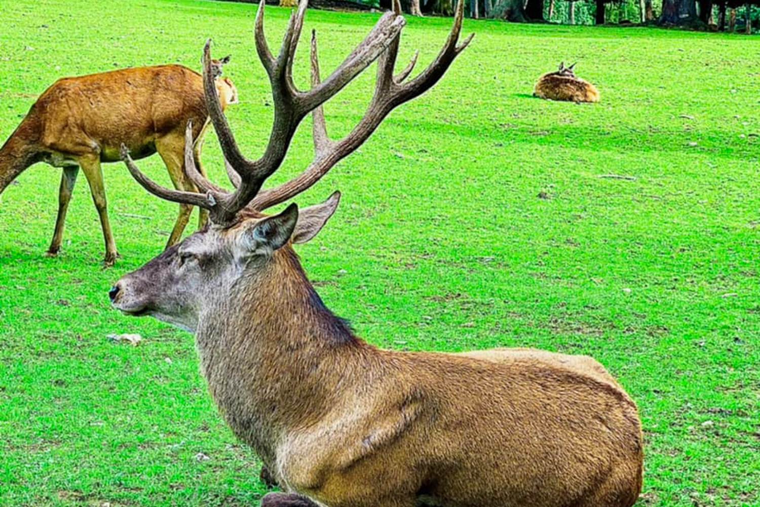 310448789_470105485132927_6952988991630966173_n