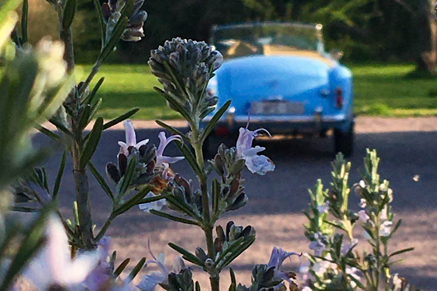 Un spacieux parking dans l'enceinte de la Demeure