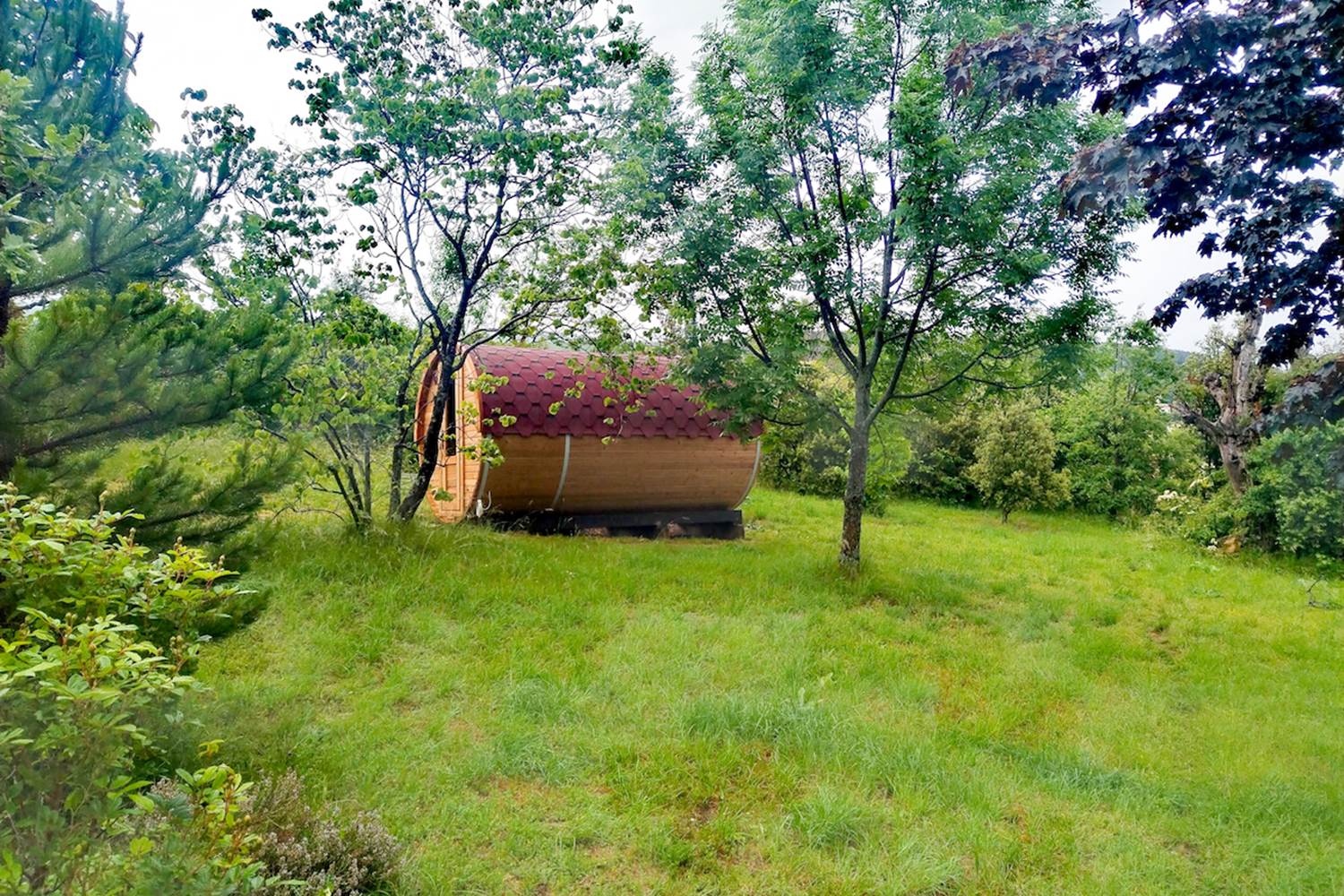 Le sauna au milieu du parc, entouré d'arbres