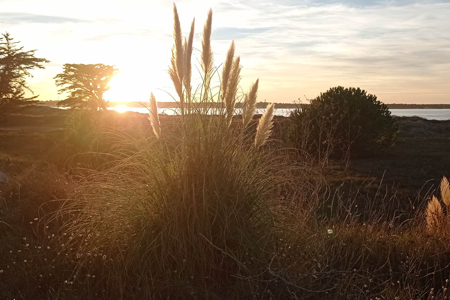 Coucher de soleil île de Ré