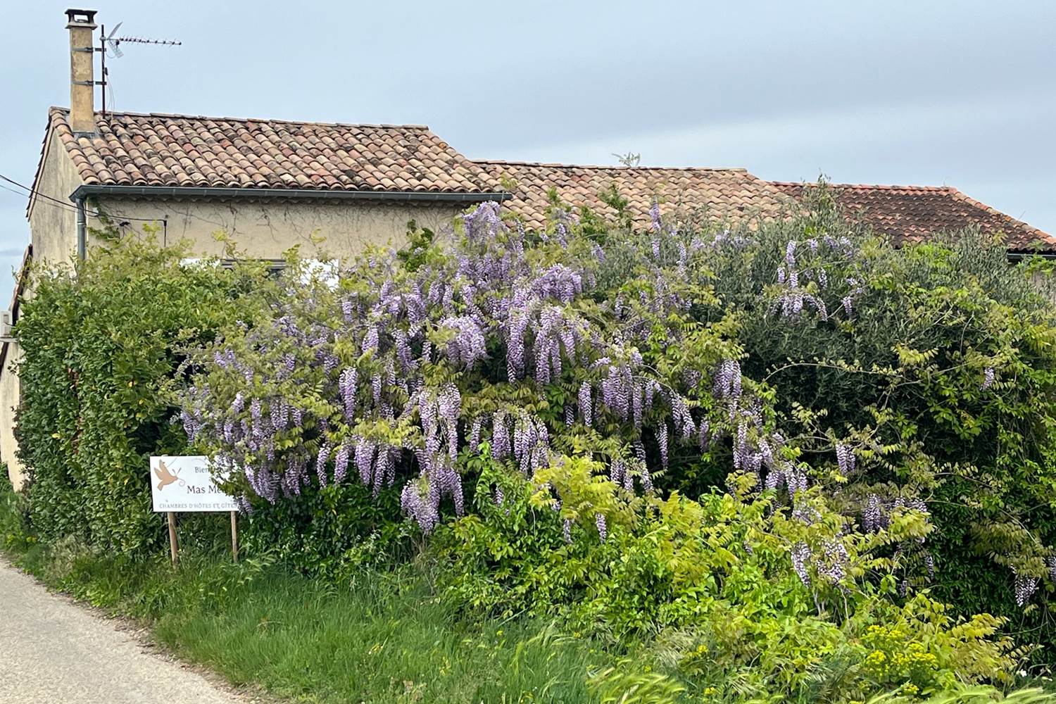 Le Mas Mellou / Chambre Les Dentelles