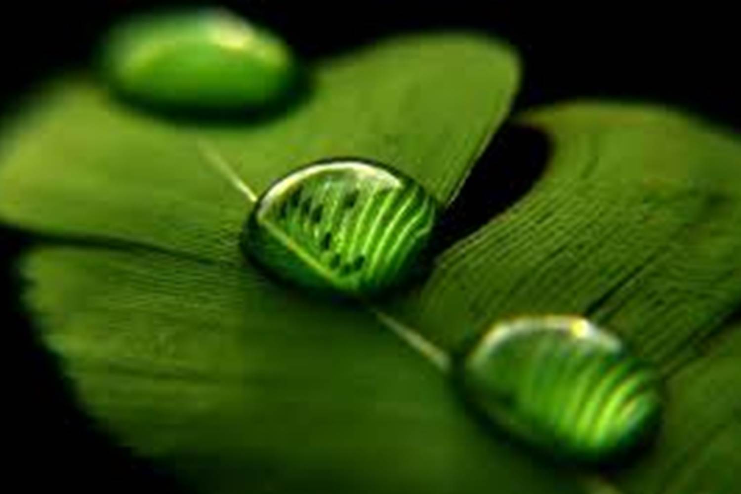 Le Répit de l'Oust - Des vacances au vert !