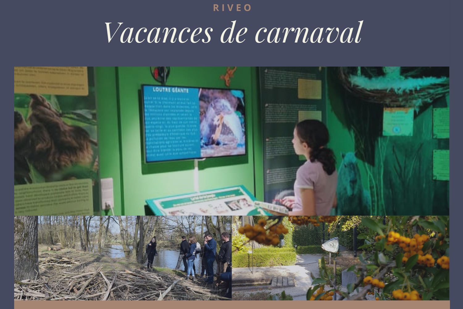 riveo news carnaval