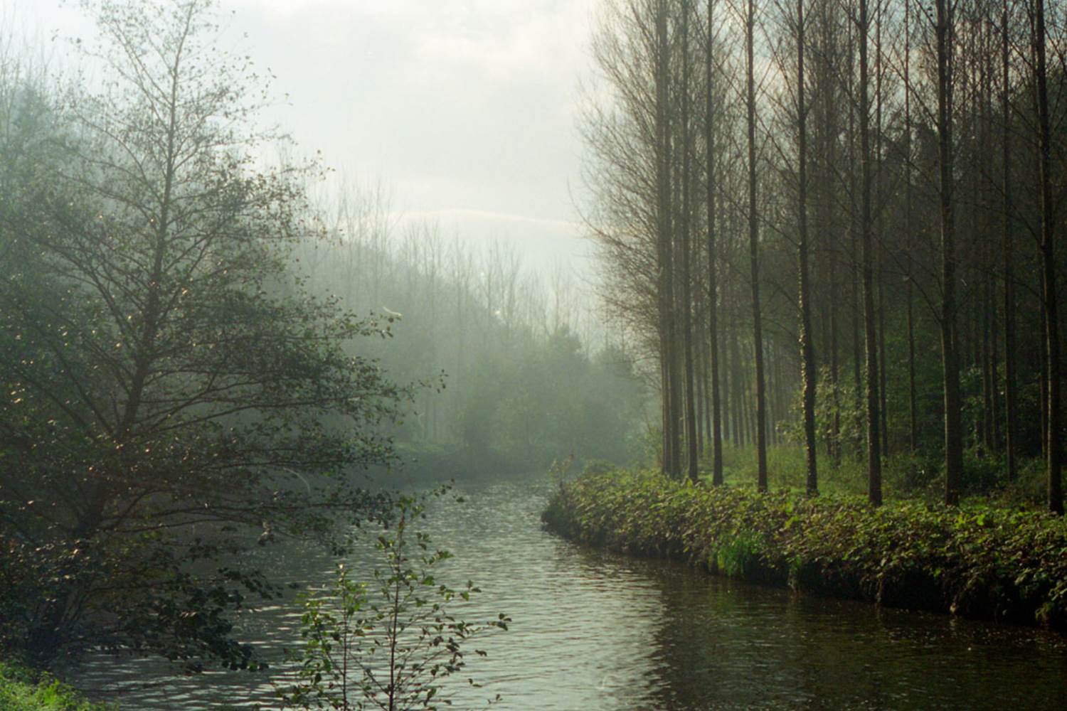 Le chemin de halage après LEHON