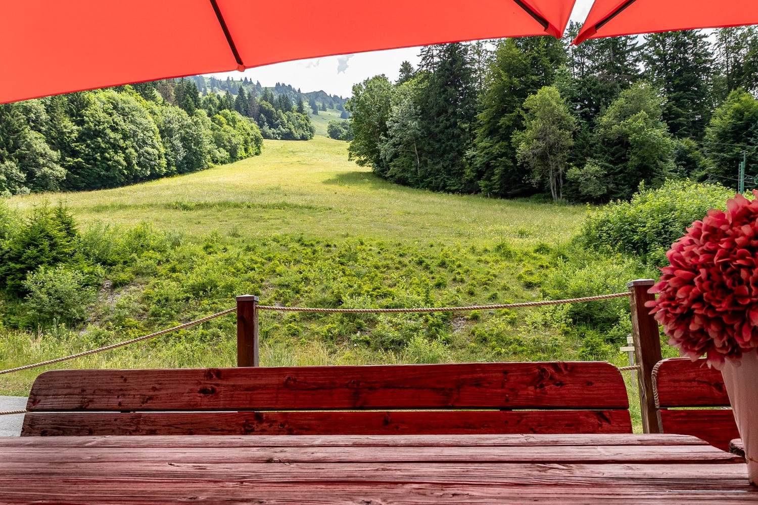 La terrasse avec vue