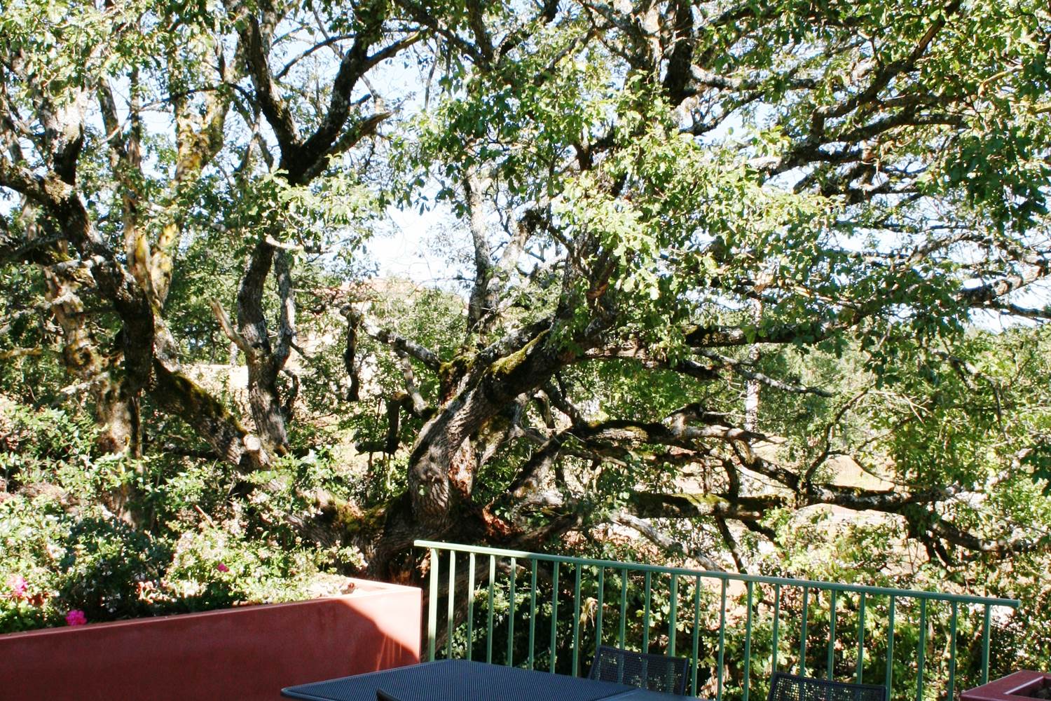 Terrasse ombragée à l'entrée du gîte