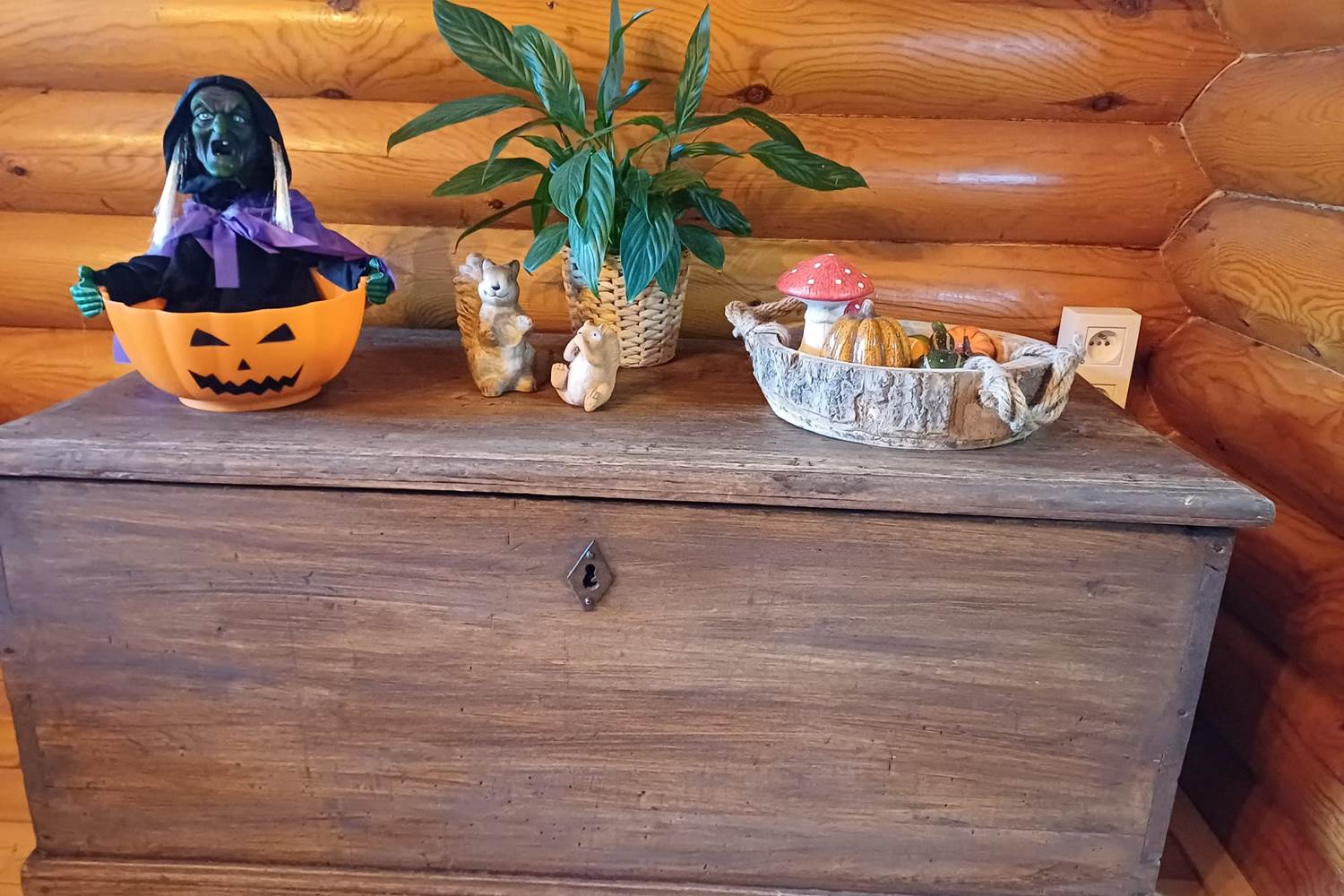 Décorations automne et Haloween