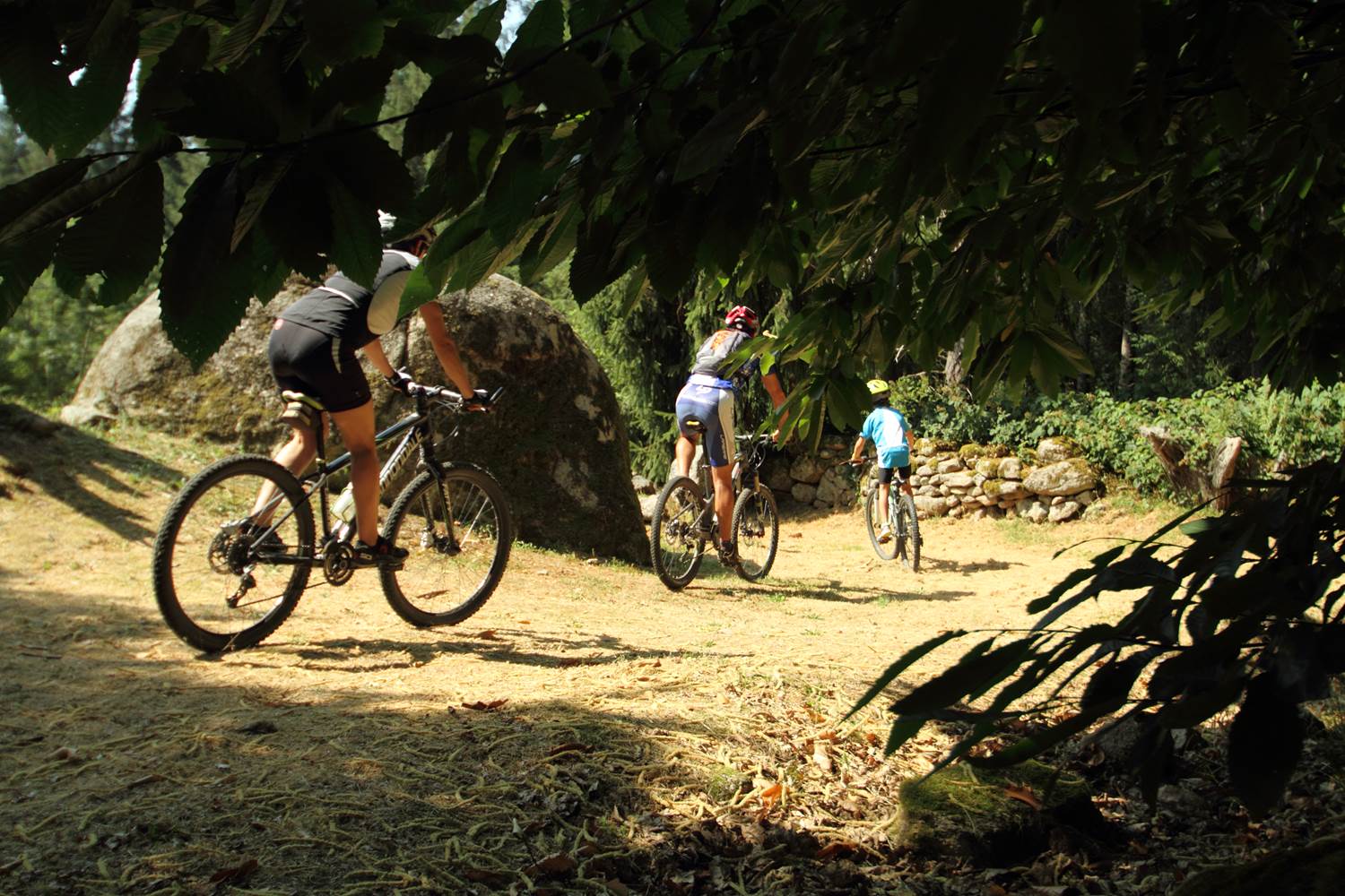 VTT dans les Monédières