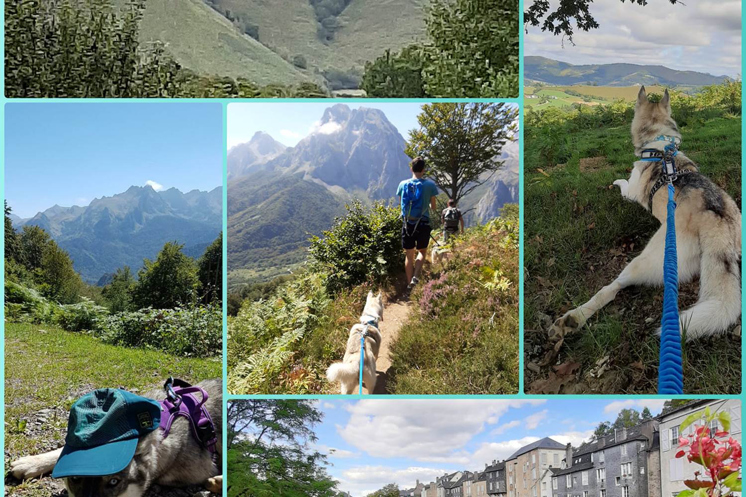 rando-Pyrénées-avec-des-chiens