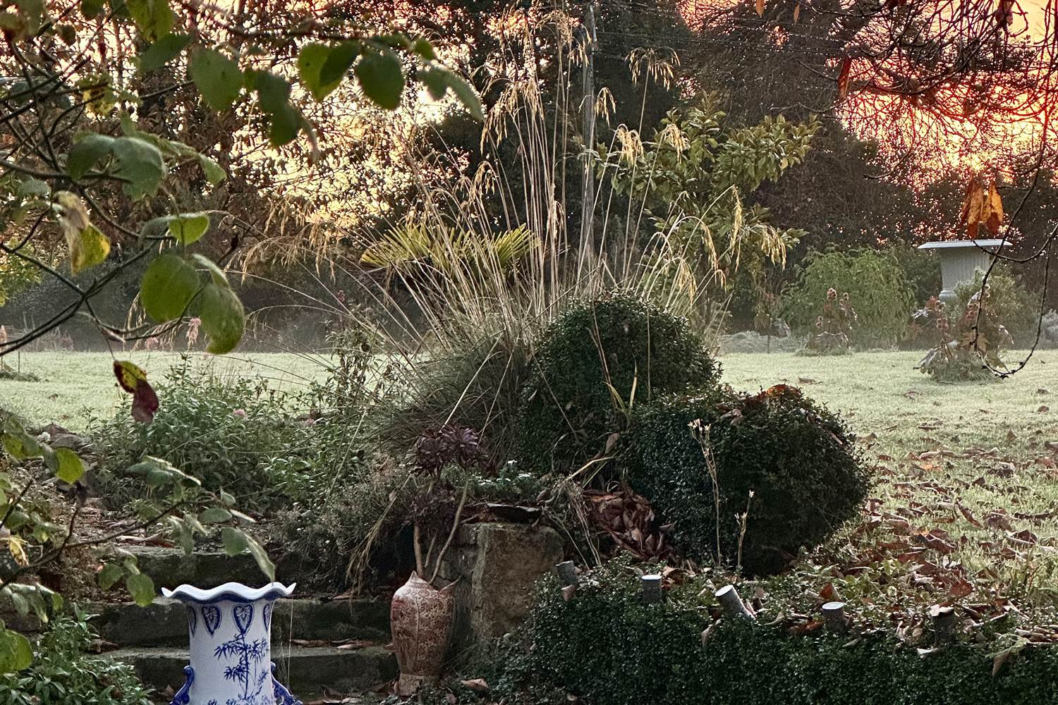 beauté du jardin en hiver