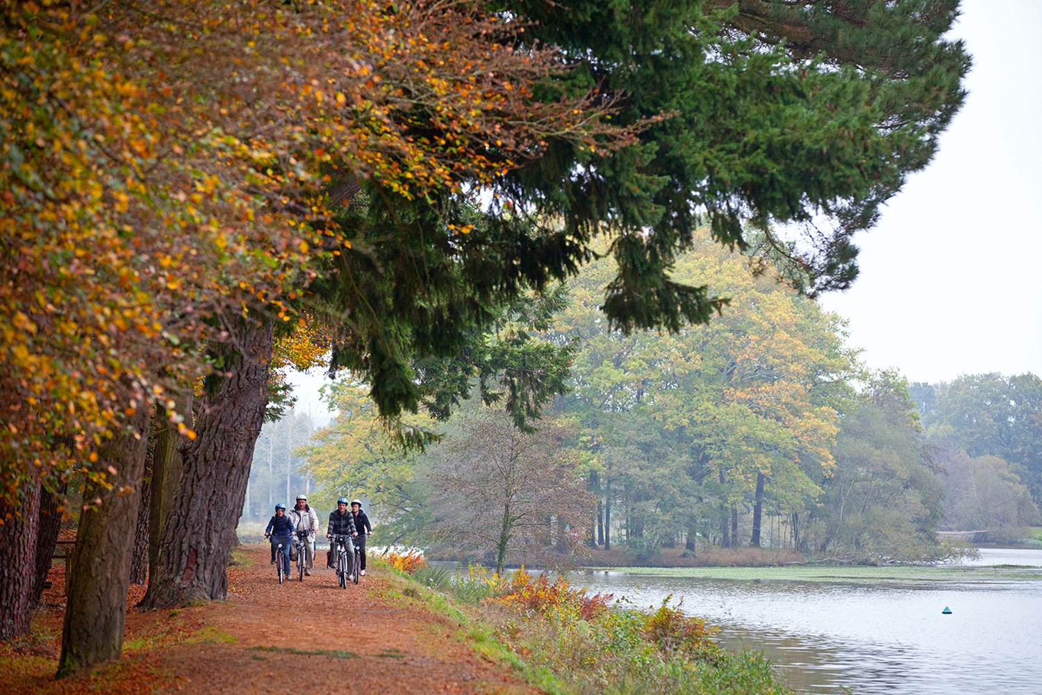 Vélo sur la Vélodyssée