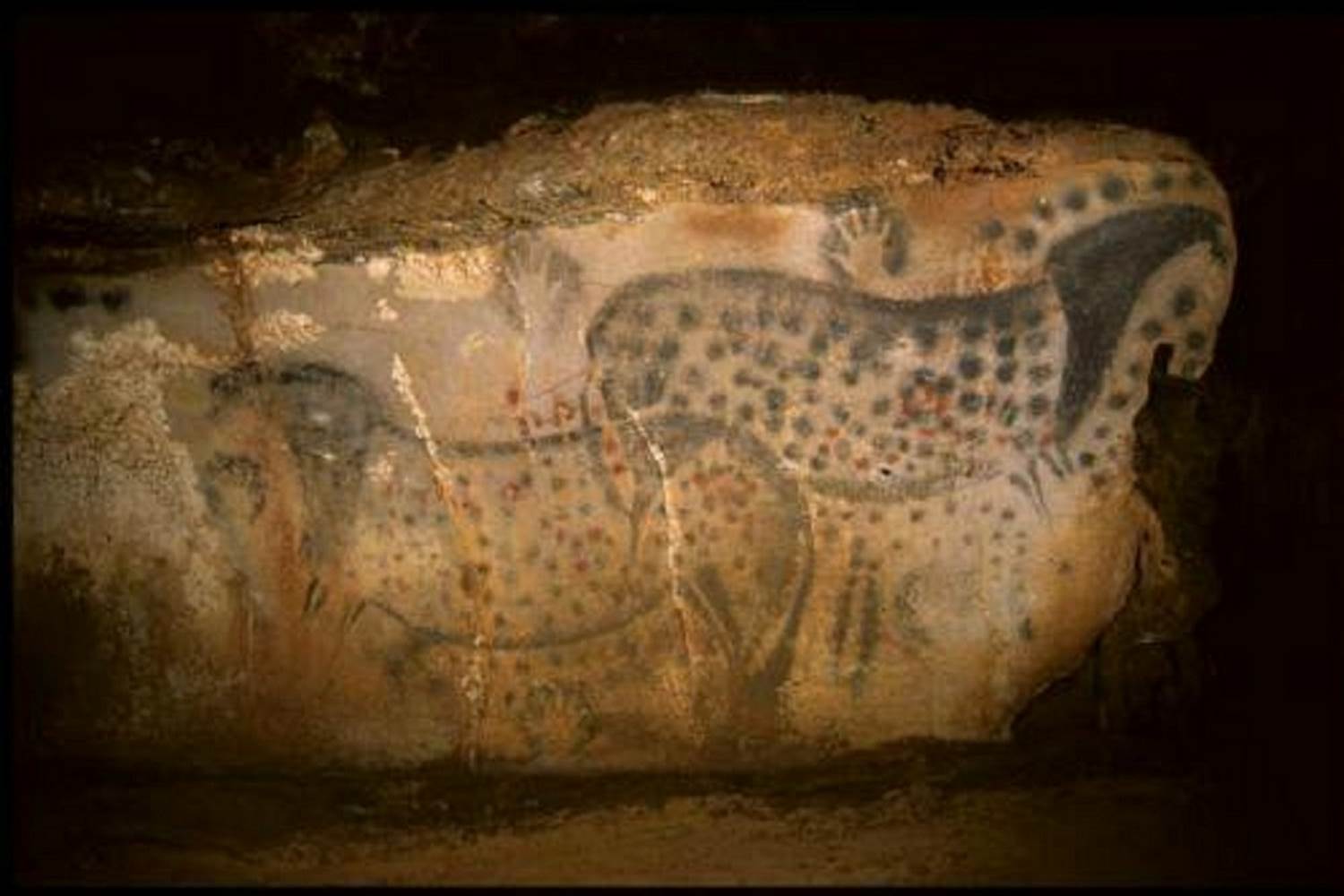 Grotte de Pech Merle