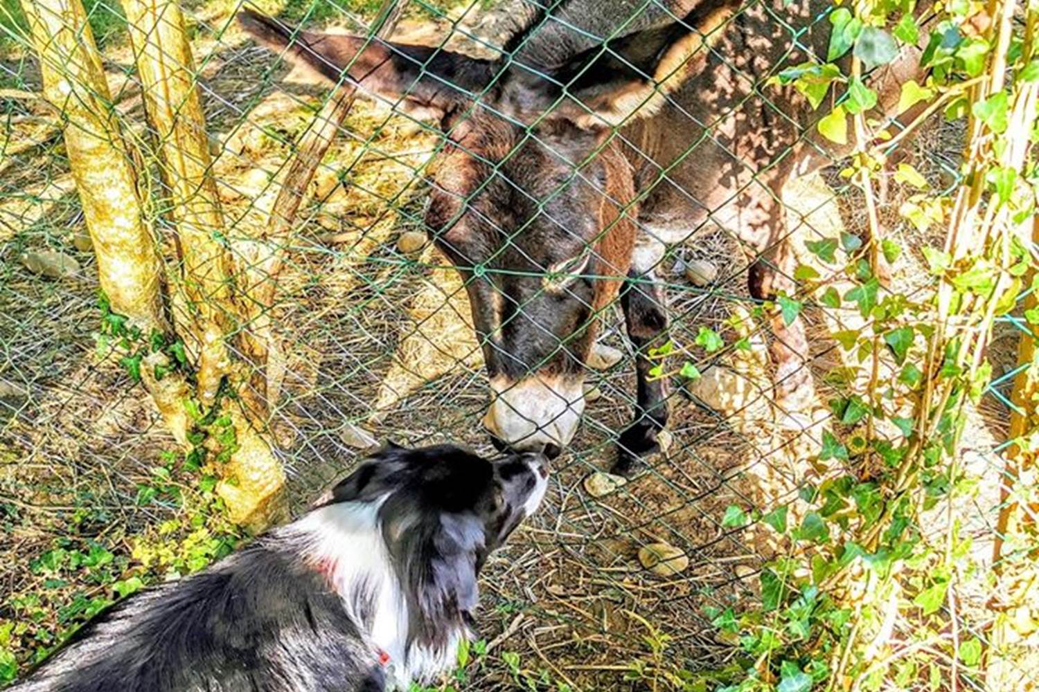 toutes-races-bienvenues