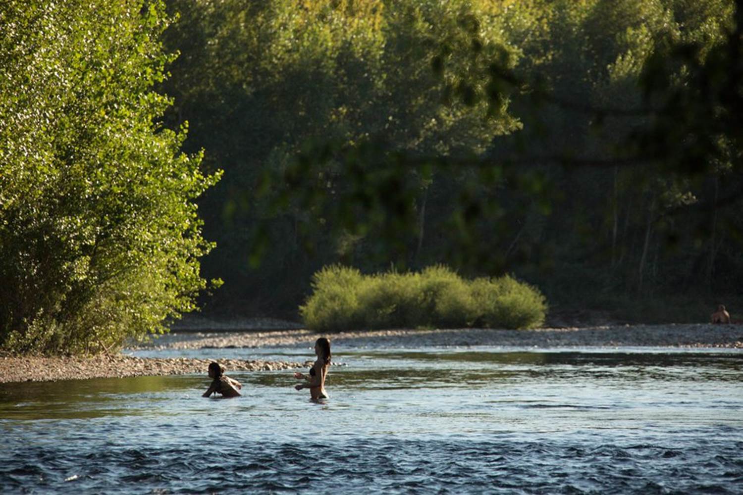 Baignade dans la Dordogne.