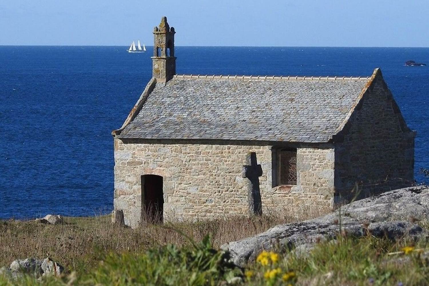 large_311135_cspau4dcsv_whr_e0b1077b7a