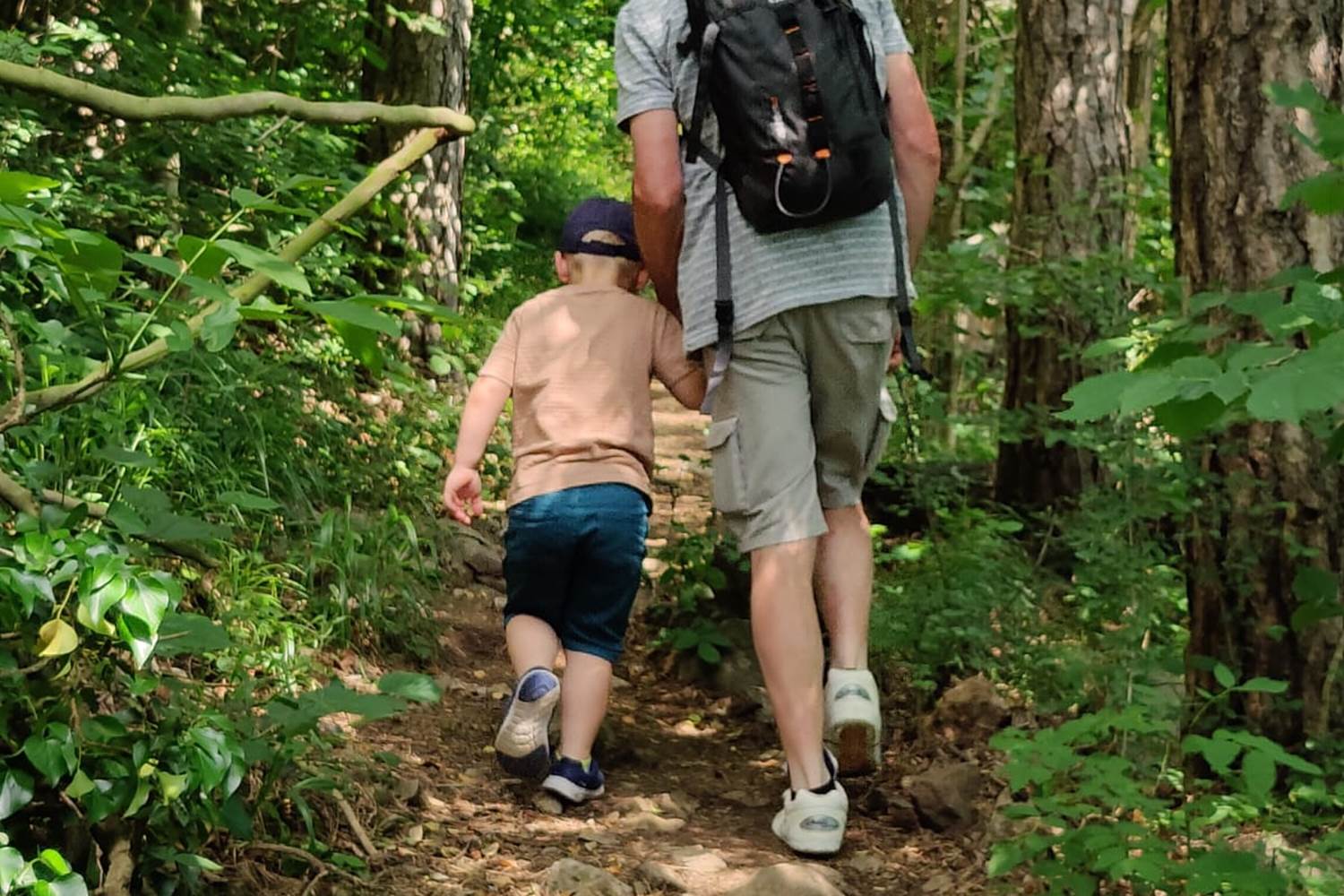 Un petit coup de main pour la montée