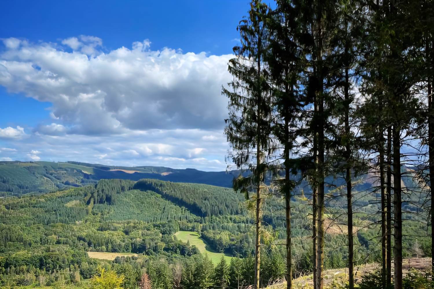 Massif des Monédières