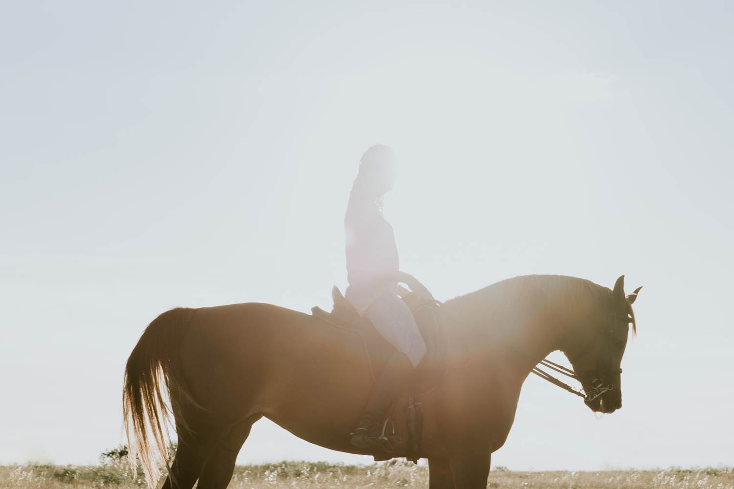 randonnées à cheval Oise Chateau d'Auteuil crédit photo Fernando Puente