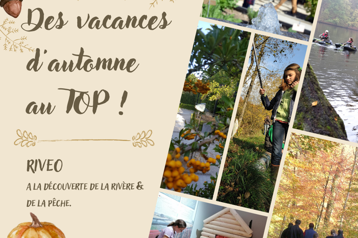 Riveo - automne top