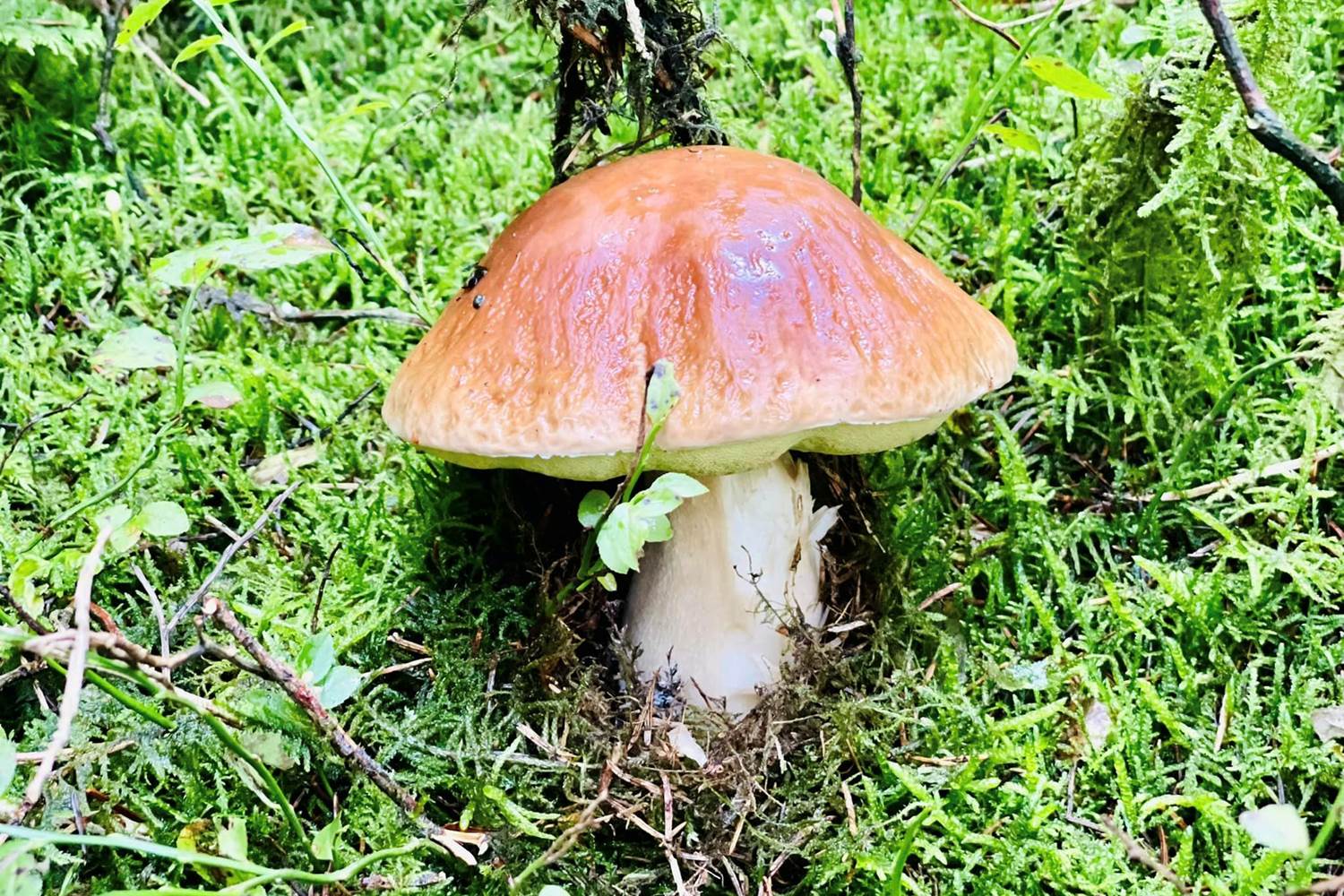 307980216_470101248466684_5070911193978298475_n