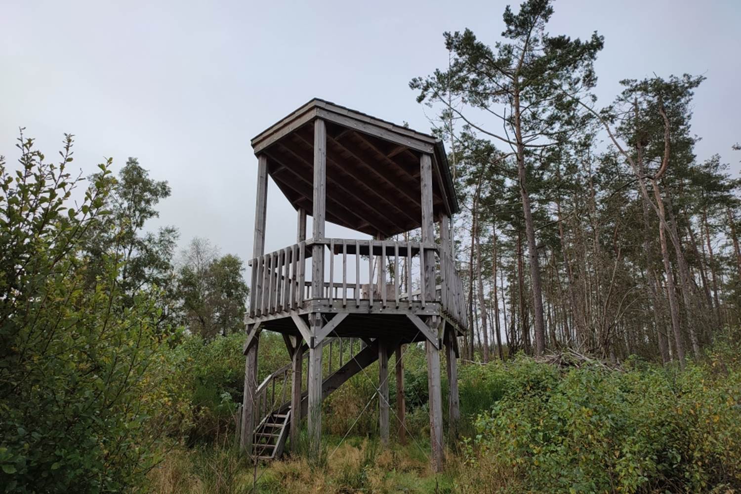 Tour d'observation Sacrawe ©CC by-SA 4