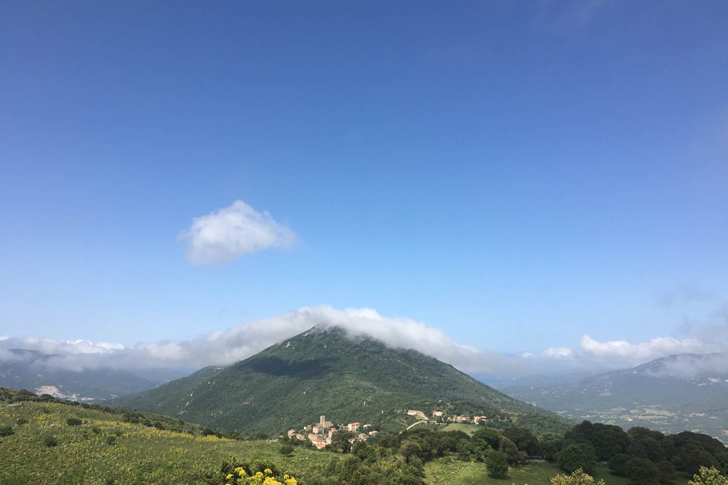 #Arbellara #Corse-du-Sud