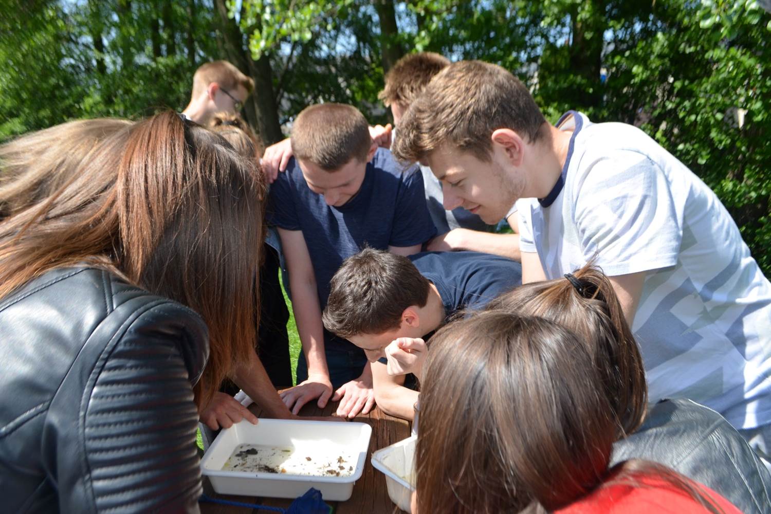 sensibilisation-environnement